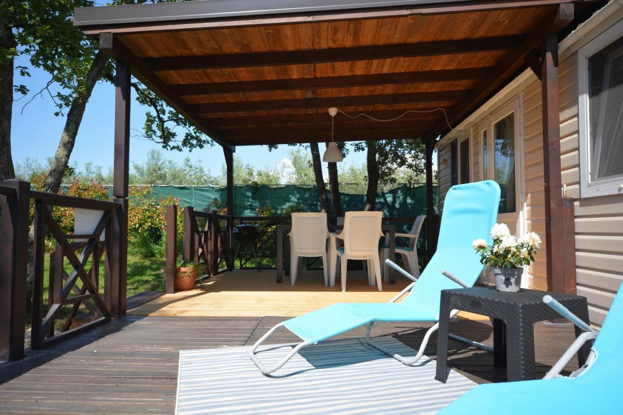 Holiday park West Coast Mobilhome With Xxl Terrace In Naturist Solaris Fkk